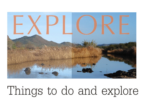 Things to do and explore at The Place